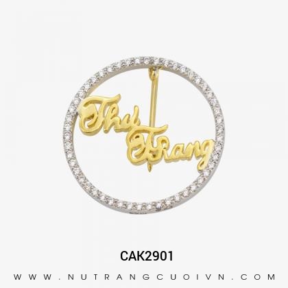 Logo CAK2901