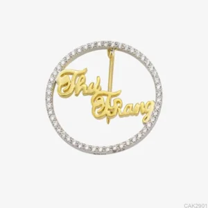 Logo CAK2901